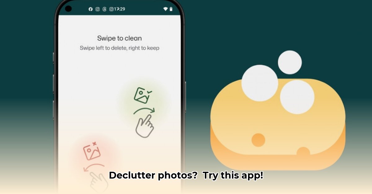 sponge-app